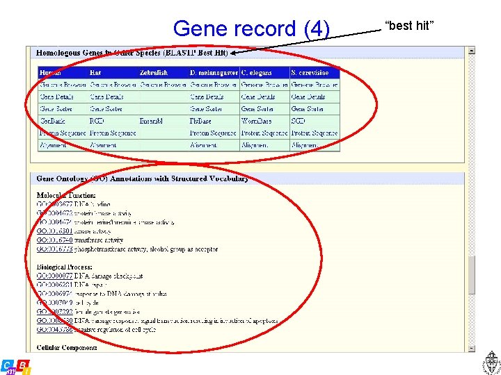 Gene record (4) “best hit” 