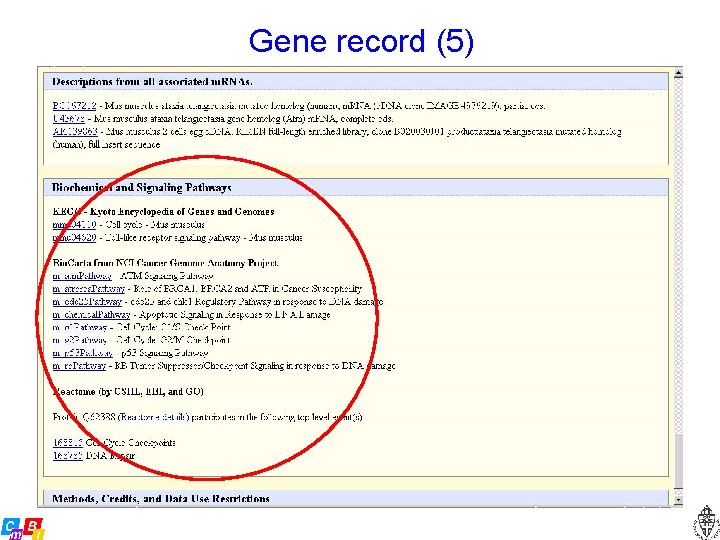 Gene record (5) 