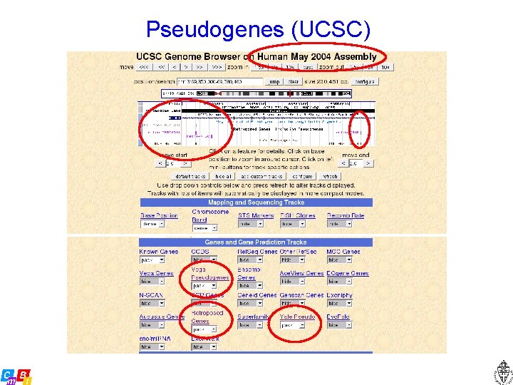 Pseudogenes (UCSC) 