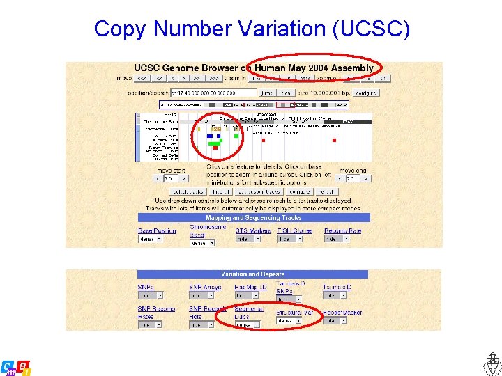 Copy Number Variation (UCSC) 