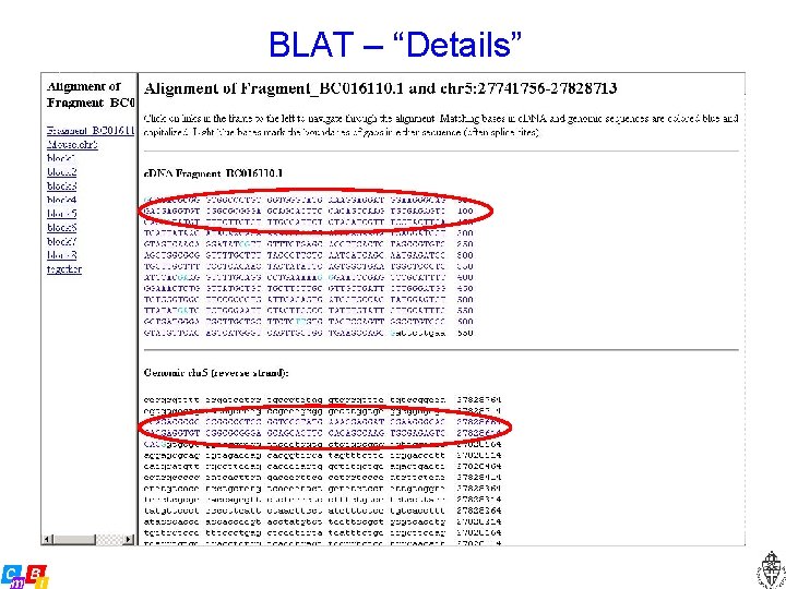 BLAT – “Details” 