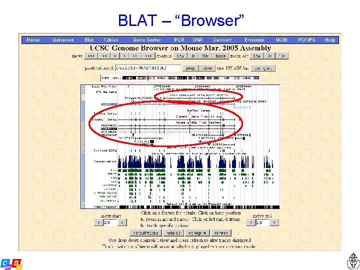 BLAT – “Browser” 