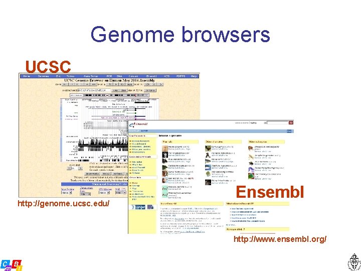 Genome browsers UCSC http: //genome. ucsc. edu/ Ensembl http: //www. ensembl. org/ 