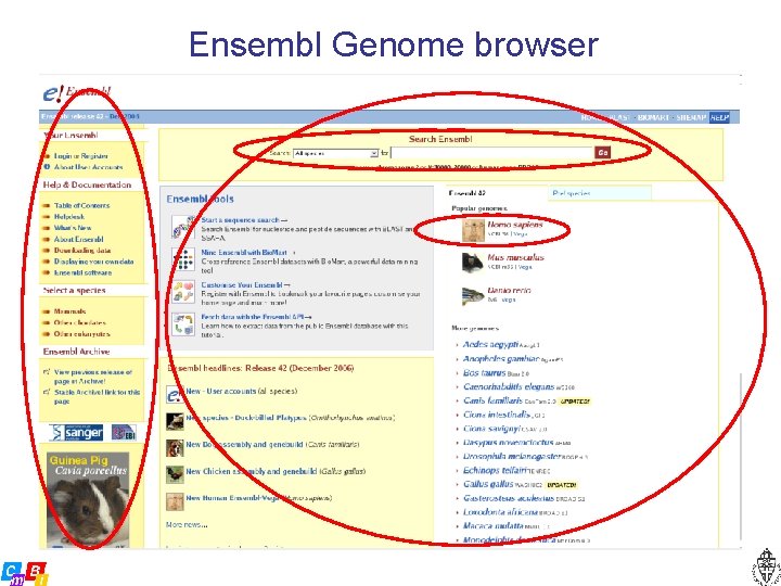 Ensembl Genome browser 