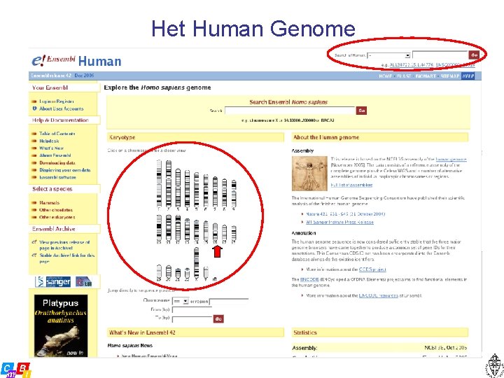 Het Human Genome 