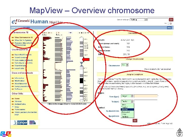 Map. View – Overview chromosome 