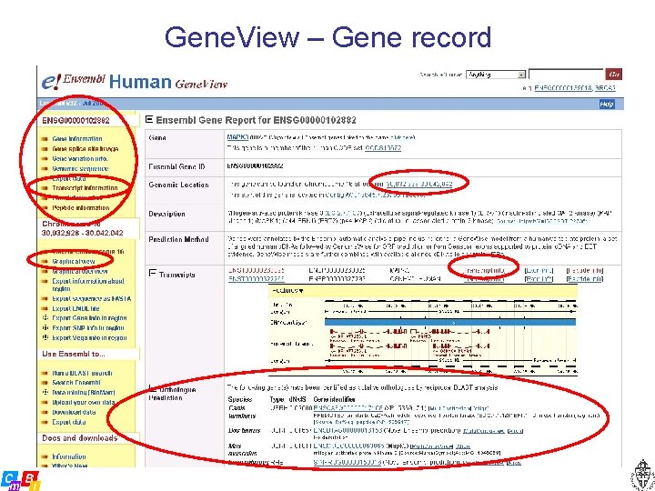 Gene. View – Gene record 