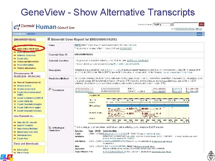 Gene. View - Show Alternative Transcripts 