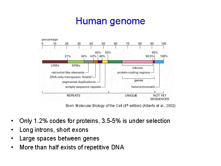 Human genome Bron: Molecular Biology of the Cell (4 th edition) (Alberts et al.