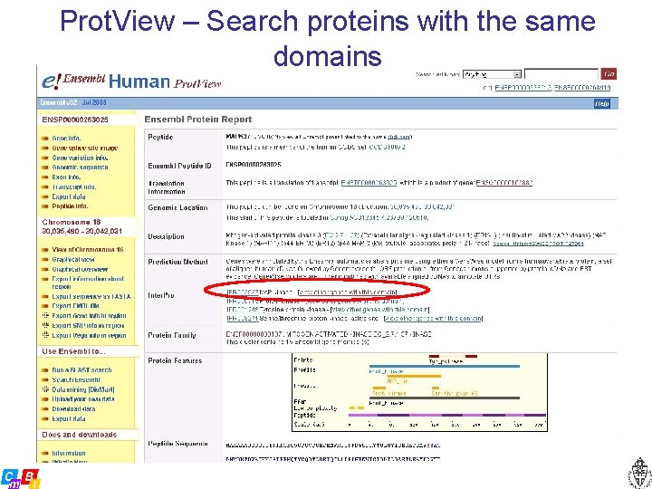 Prot. View – Search proteins with the same domains 
