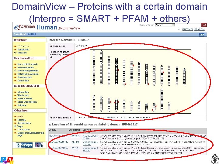 Domain. View – Proteins with a certain domain (Interpro = SMART + PFAM +