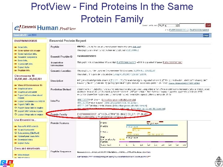 Prot. View - Find Proteins In the Same Protein Family 