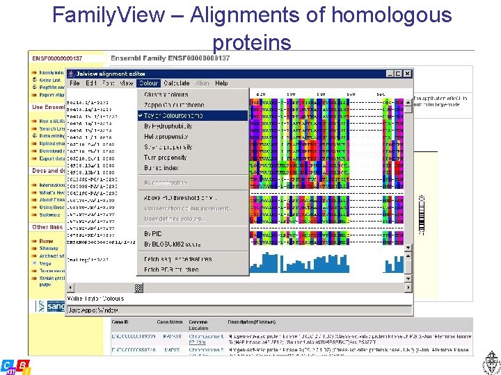 Family. View – Alignments of homologous proteins 