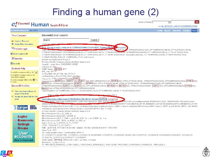 Finding a human gene (2) 