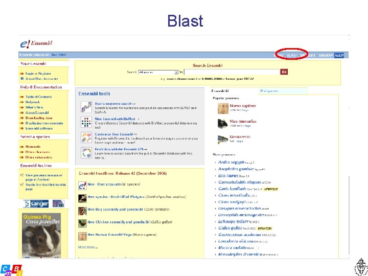 Blast 