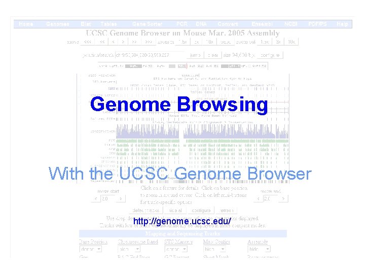 Genome Browsing With the UCSC Genome Browser http: //genome. ucsc. edu/ 