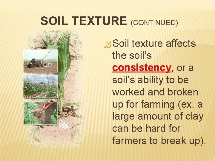 SOIL TEXTURE (CONTINUED) Soil texture affects the soil’s consistency, or a soil’s ability to