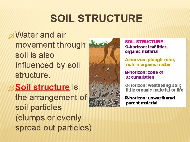 SOIL STRUCTURE Water and air movement through soil is also influenced by soil structure.