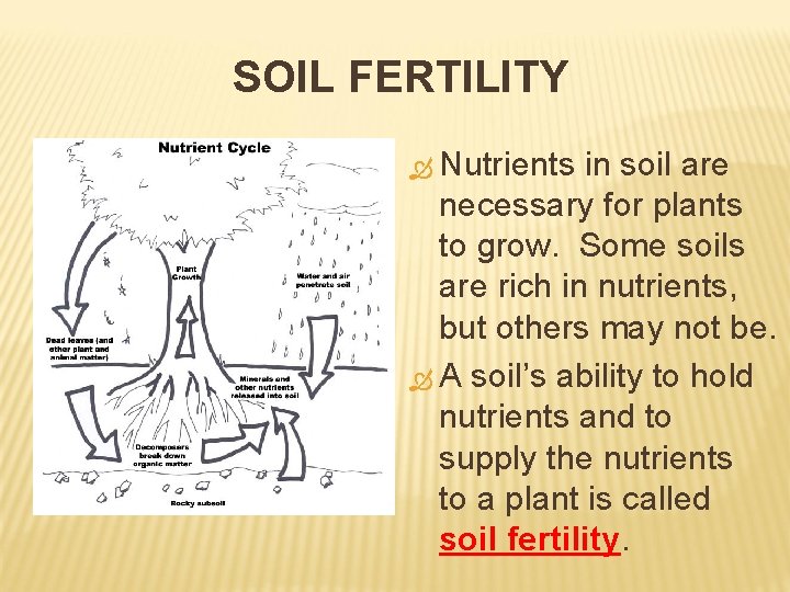 SOIL FERTILITY Nutrients in soil are necessary for plants to grow. Some soils are