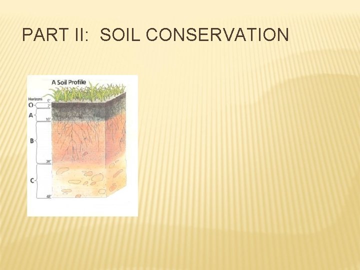 PART II: SOIL CONSERVATION 