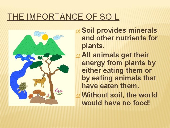 THE IMPORTANCE OF SOIL Soil provides minerals and other nutrients for plants. All animals