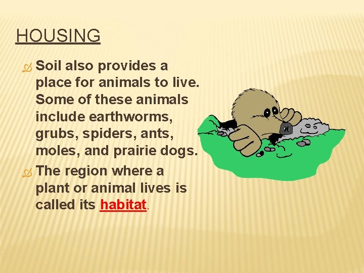 HOUSING Soil also provides a place for animals to live. Some of these animals