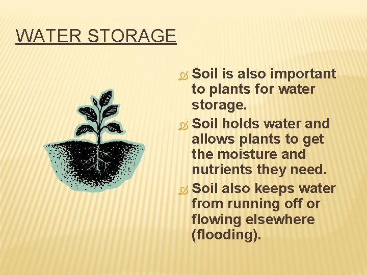 WATER STORAGE Soil is also important to plants for water storage. Soil holds water