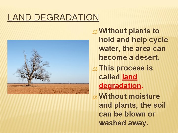 LAND DEGRADATION Without plants to hold and help cycle water, the area can become