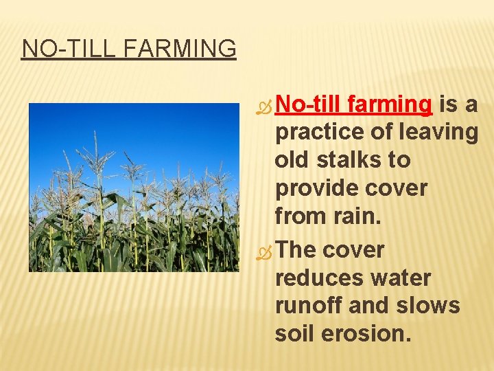 NO-TILL FARMING No-till farming is a practice of leaving old stalks to provide cover
