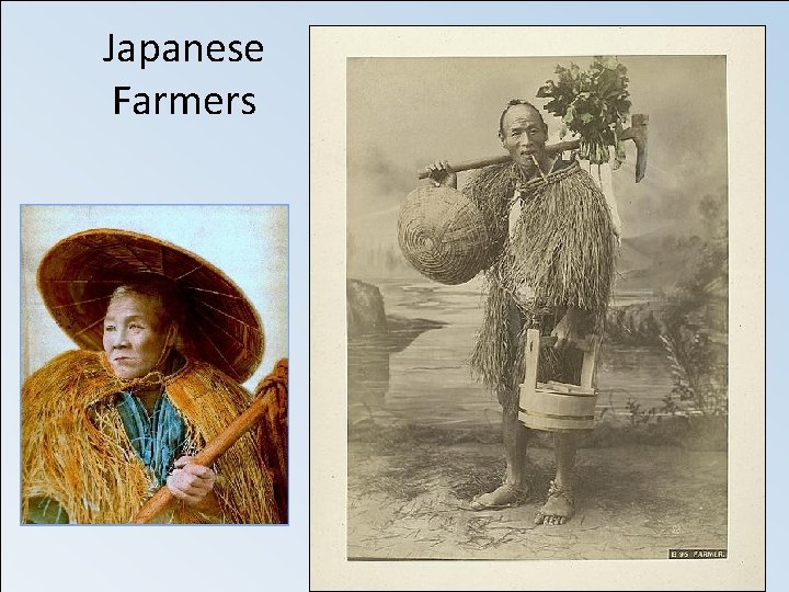 Japanese Farmers 
