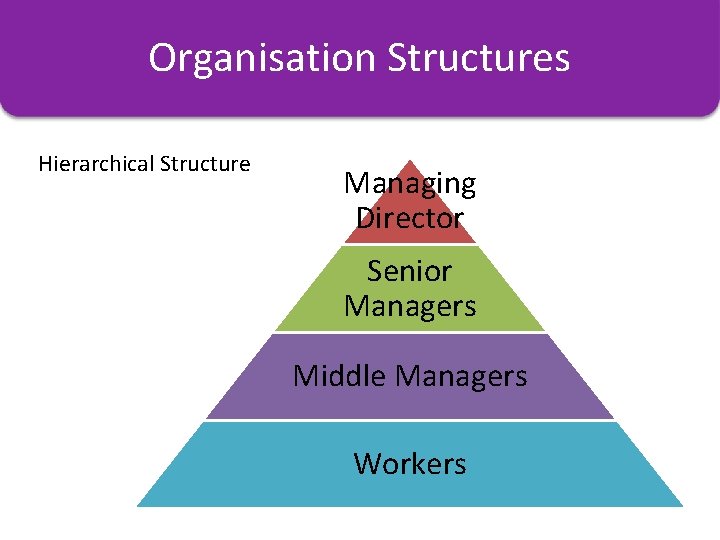 Organisation Structures Charts Hierarchical Structure Managing Director Senior Managers Middle Managers Workers 