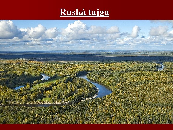 Ruská tajga 