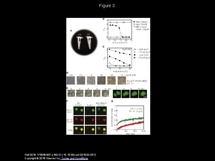 Figure 3 Cell 2018 173946 -957. e 16 DOI: (10. 1016/j. cell. 2018. 02.