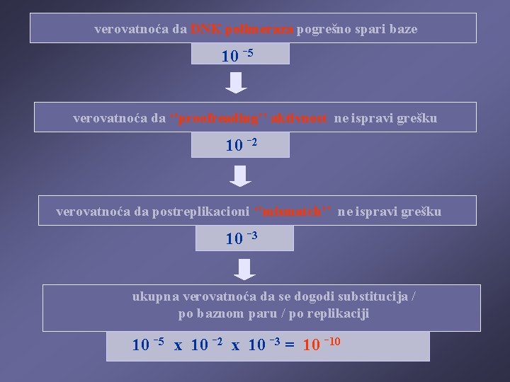 verovatnoća da DNK polimeraza pogrešno spari baze 10 -5 verovatnoća da ‘’proofreading’’ aktivnost ne