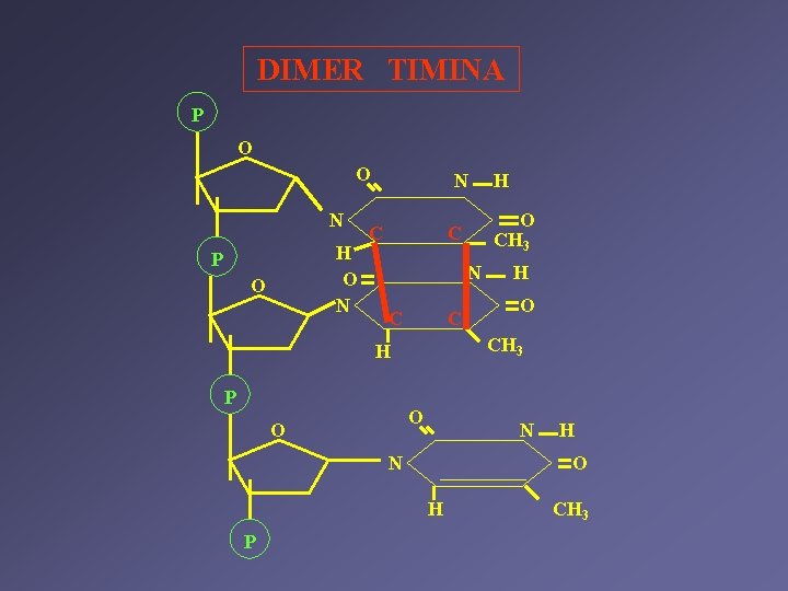 DIMER TIMINA P O O N H O N P O N C P