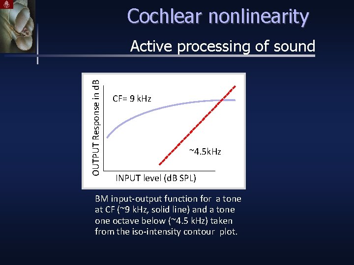 Cochlear nonlinearity OUTPUT Response in d. B Active processing of sound CF= 9 k.
