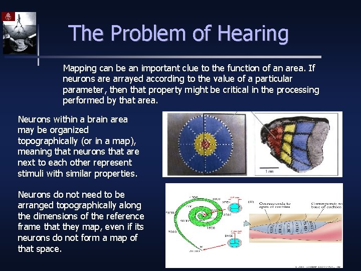 The Problem of Hearing Mapping can be an important clue to the function of