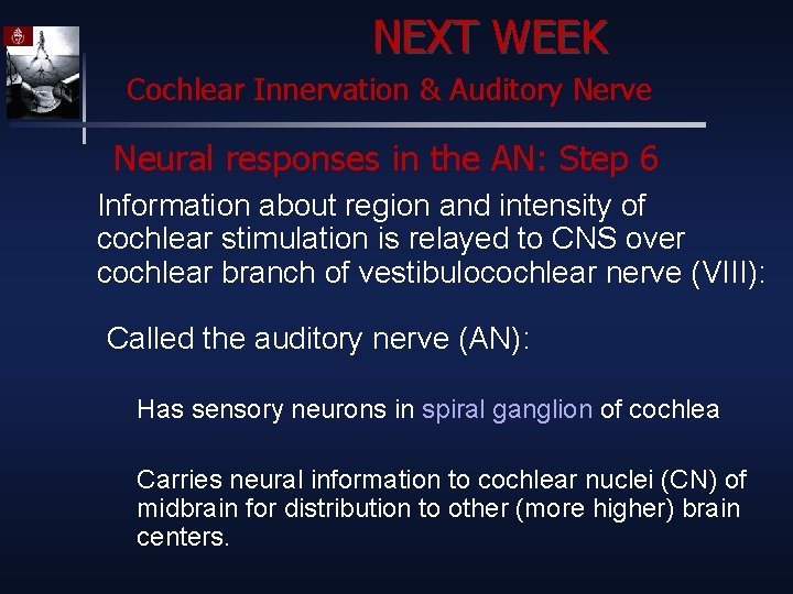 NEXT WEEK Cochlear Innervation & Auditory Nerve Neural responses in the AN: Step 6