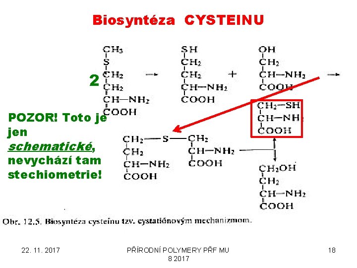 Biosyntéza CYSTEINU 2 POZOR! Toto je jen schematické, nevychází tam stechiometrie! 22. 11. 2017