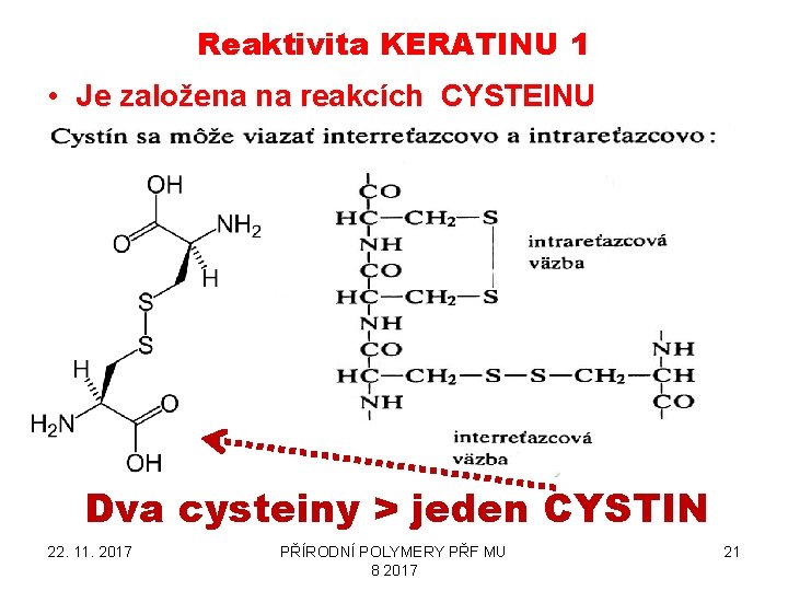 Reaktivita KERATINU 1 • Je založena na reakcích CYSTEINU Dva cysteiny > jeden CYSTIN