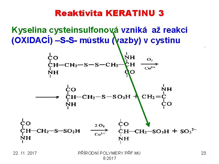 Reaktivita KERATINU 3 Kyselina cysteinsulfonová vzniká až reakcí (OXIDACÍ) –S-S- můstku (vazby) v cystinu