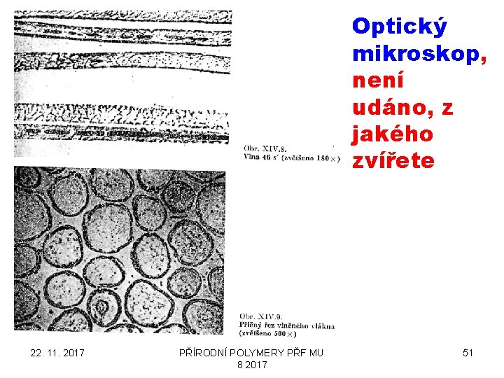 Optický mikroskop, není udáno, z jakého zvířete 22. 11. 2017 PŘÍRODNÍ POLYMERY PŘF MU