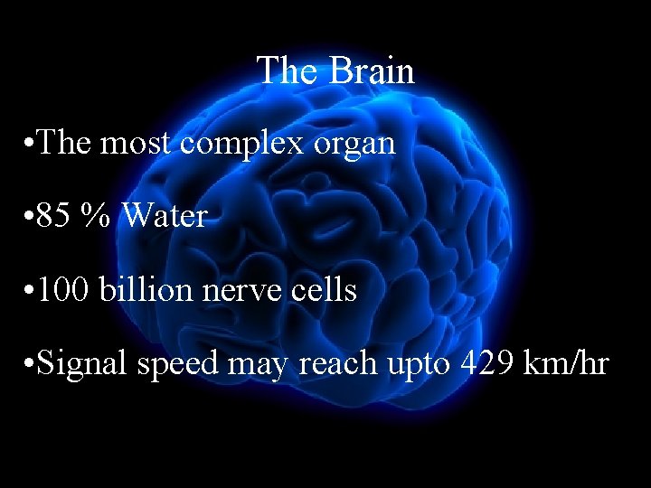 The Brain • The most complex organ • 85 % Water • 100 billion