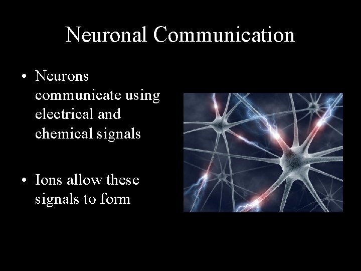 Neuronal Communication • Neurons communicate using electrical and chemical signals • Ions allow these