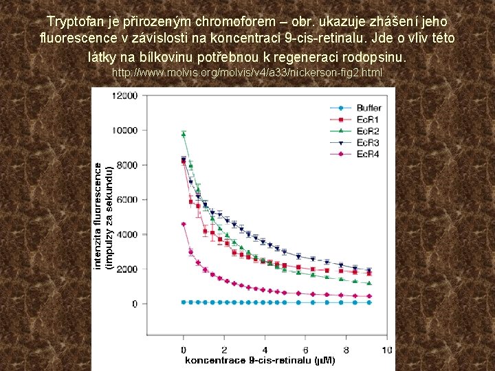 Tryptofan je přirozeným chromoforem – obr. ukazuje zhášení jeho fluorescence v závislosti na koncentraci