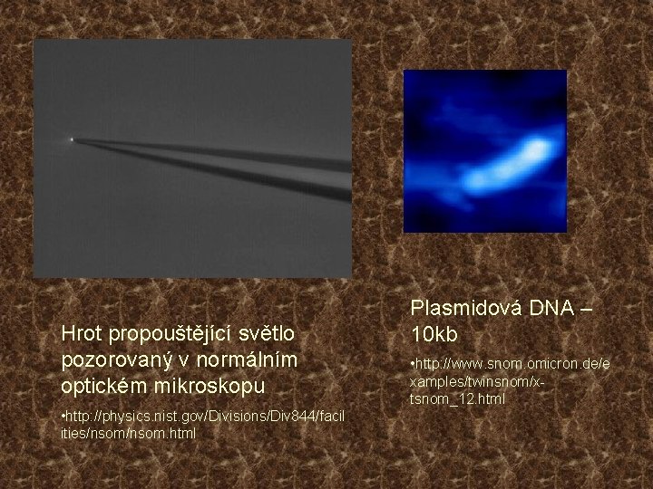 Hrot propouštějící světlo pozorovaný v normálním optickém mikroskopu • http: //physics. nist. gov/Divisions/Div 844/facil