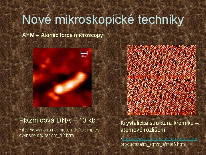 Nové mikroskopické techniky AFM – Atomic force microscopy Plazmidová DNA – 10 kb, •