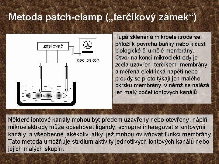 Metoda patch-clamp („terčíkový zámek“) Tupá skleněná mikroelektroda se přiloží k povrchu buňky nebo k