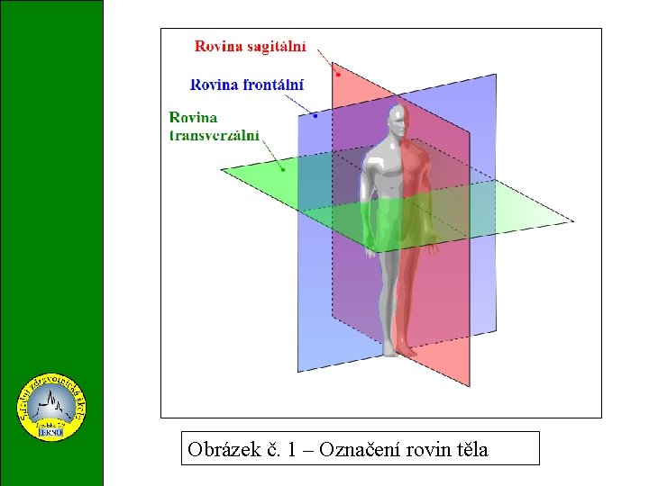 Obrázek č. 1 – Označení rovin těla 