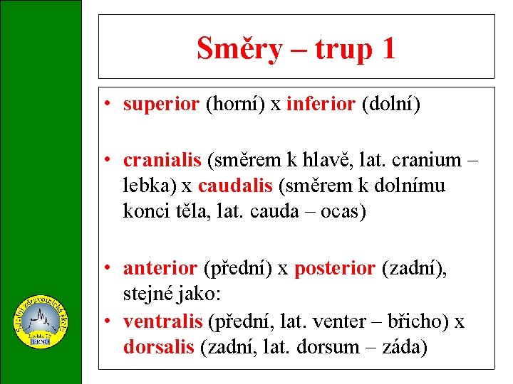 Směry – trup 1 • superior (horní) x inferior (dolní) • cranialis (směrem k